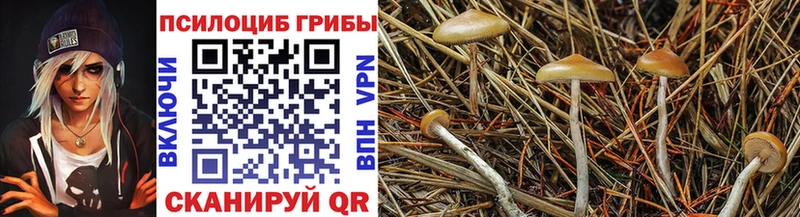 даркнет сайт  Обоянь  Псилоцибиновые грибы MAGIC MUSHROOMS 